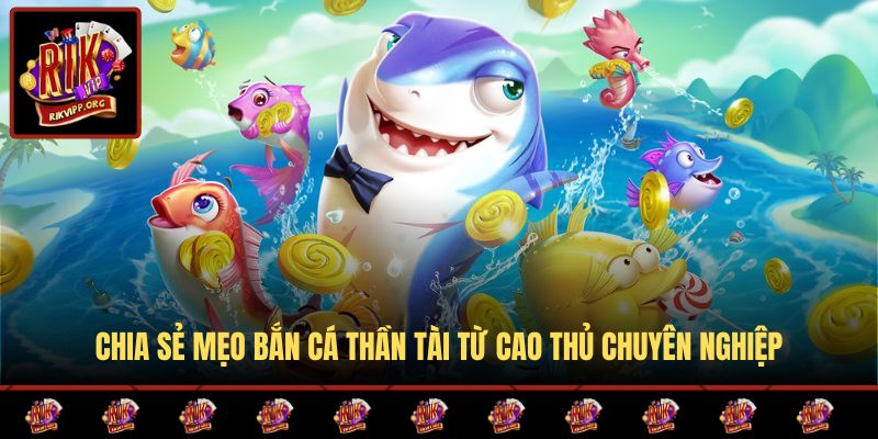 Chia sẻ bí quyết cá cược chuẩn từ dân chuyên