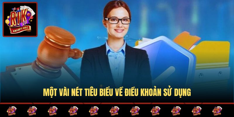 Một vài nét tiêu biểu về điều khoản sử dụng