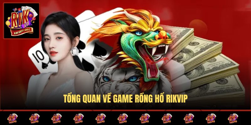 Rồng Hổ Rikvip là gì?