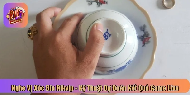 Nghe vị xóc đĩa